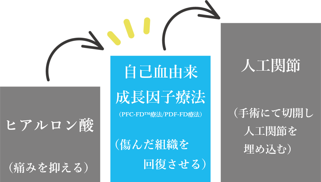 ヒアルロン酸でも、手術でもない、新しい選択肢